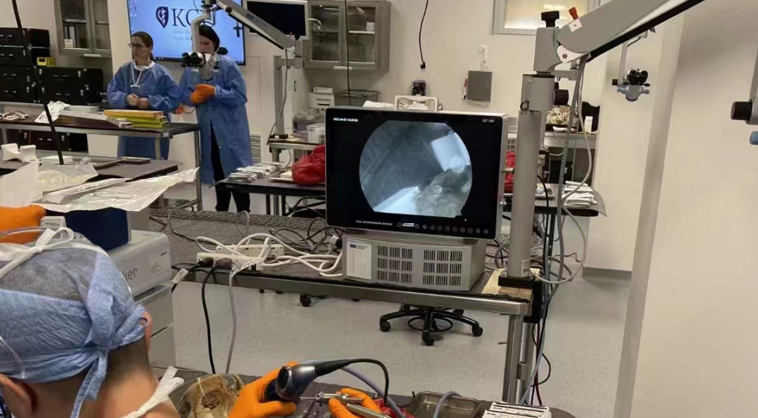 獸用關(guān)節(jié)鏡的基本配置有哪些？