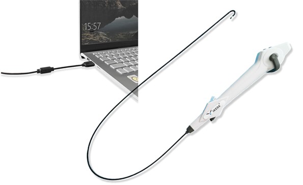 大鼠結腸內窺鏡如何選擇？